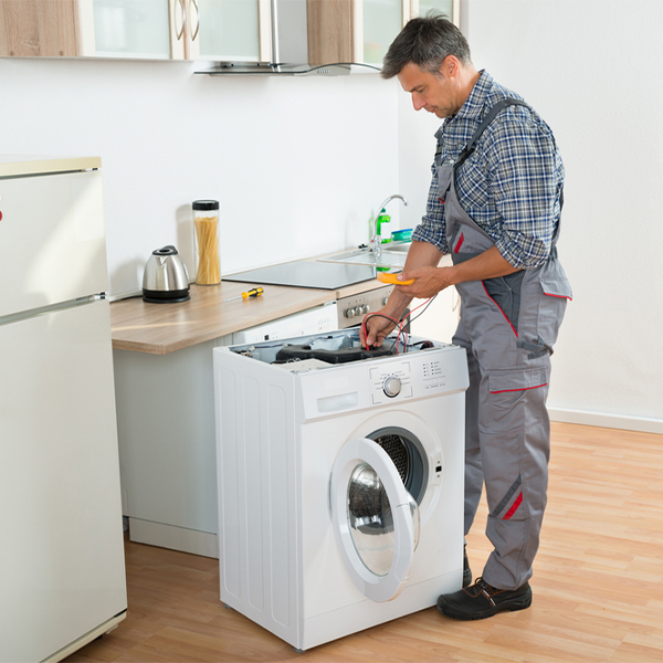 how much should i expect to pay for washer repair services in Romeo Colorado